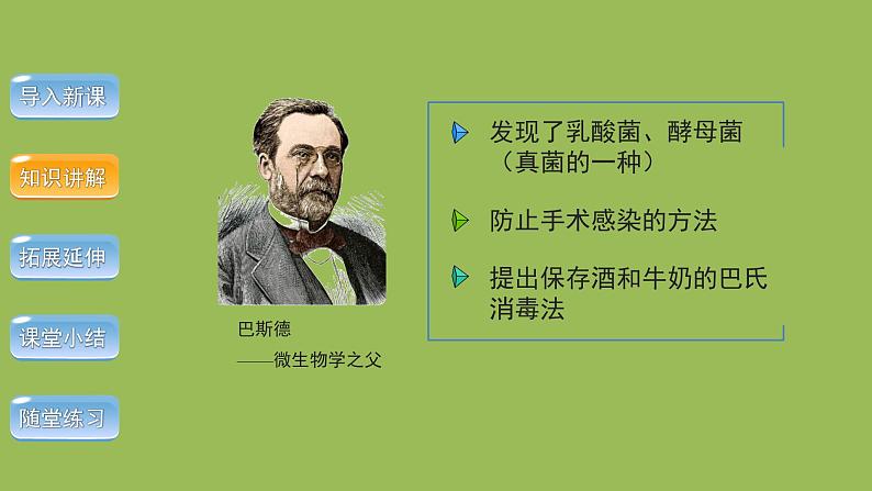 5.4.2 细菌 课件2024年初中秋季人教版生物八年级上册第8页