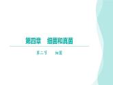 5.4.2细菌习题课件2024年初中秋季人教版生物八年级上册