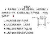 5.4.2细菌习题课件2024年初中秋季人教版生物八年级上册