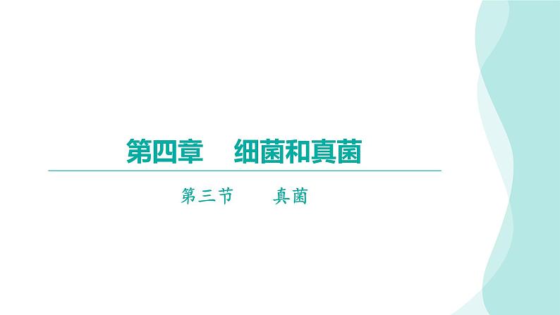 5.4.3真菌课件2024年初中秋季人教版生物八年级上册01