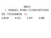 5.4.3真菌课件2024年初中秋季人教版生物八年级上册