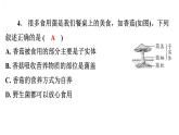 5.4.3真菌课件2024年初中秋季人教版生物八年级上册