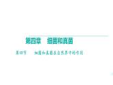 5.4.4细菌和真菌在自然界中的作用课件2024年初中秋季人教版生物八年级上册