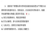 5.4.4细菌和真菌在自然界中的作用课件2024年初中秋季人教版生物八年级上册