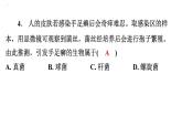 5.4.4细菌和真菌在自然界中的作用课件2024年初中秋季人教版生物八年级上册