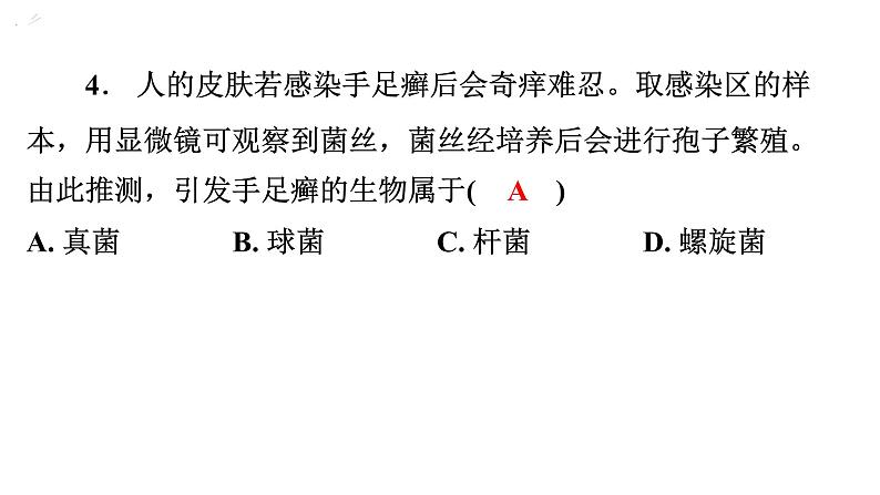 5.4.4细菌和真菌在自然界中的作用课件2024年初中秋季人教版生物八年级上册第5页