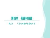 5.4.5人类对细菌和真菌的利用课件2024年初中秋季人教版生物八年级上册