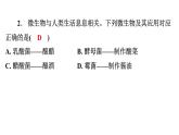 5.4.5人类对细菌和真菌的利用课件2024年初中秋季人教版生物八年级上册
