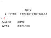 5.5病毒课件2024年初中秋季人教版生物八年级上册