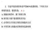 5.5病毒课件2024年初中秋季人教版生物八年级上册
