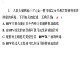 5.5病毒课件2024年初中秋季人教版生物八年级上册