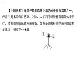 5.5病毒课件2024年初中秋季人教版生物八年级上册