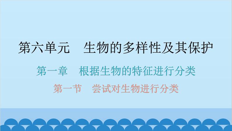 6.1.1 尝试对生物进行分类课件2024年初中秋季人教版生物八年级上册01