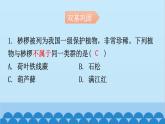 6.1.1 尝试对生物进行分类课件2024年初中秋季人教版生物八年级上册