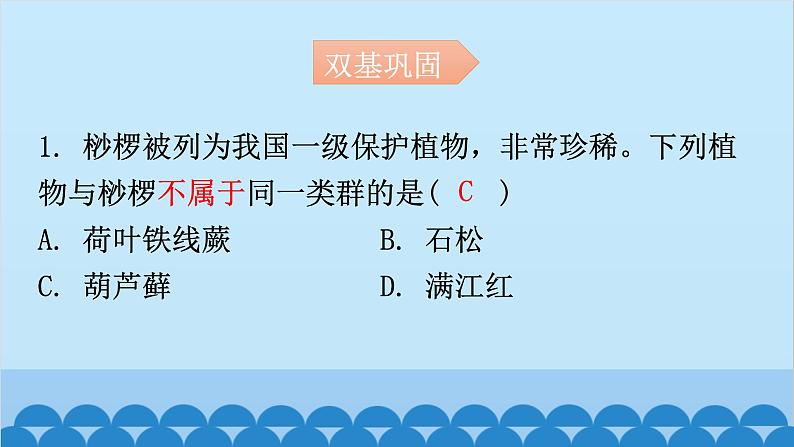 6.1.1 尝试对生物进行分类课件2024年初中秋季人教版生物八年级上册02