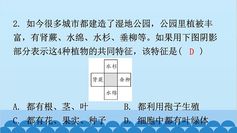 6.1.1 尝试对生物进行分类课件2024年初中秋季人教版生物八年级上册03