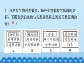 6.1.1 尝试对生物进行分类课件2024年初中秋季人教版生物八年级上册