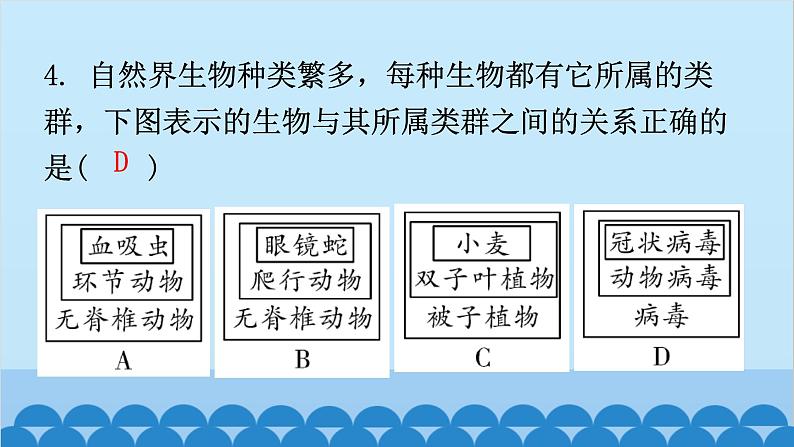 6.1.1 尝试对生物进行分类课件2024年初中秋季人教版生物八年级上册05