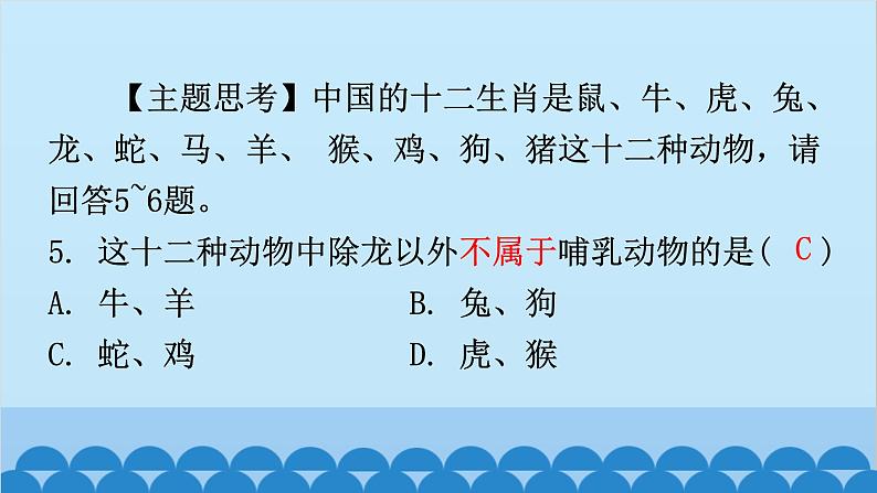 6.1.1 尝试对生物进行分类课件2024年初中秋季人教版生物八年级上册06