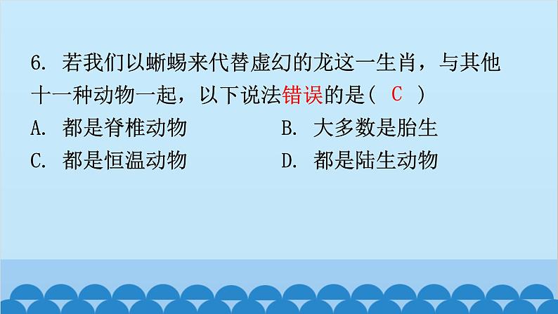 6.1.1 尝试对生物进行分类课件2024年初中秋季人教版生物八年级上册07