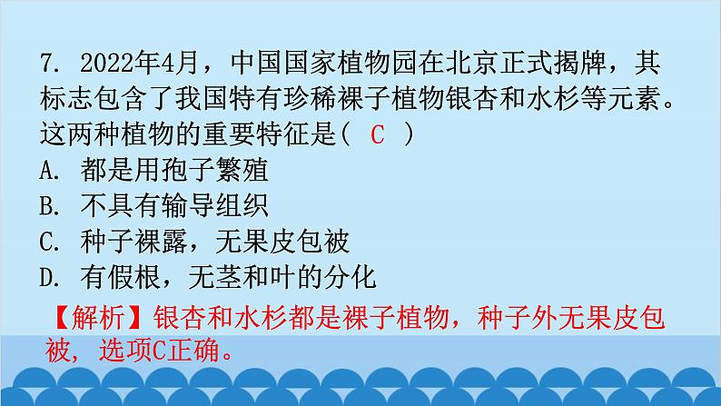 6.1.1 尝试对生物进行分类课件2024年初中秋季人教版生物八年级上册08