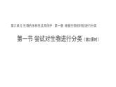 6.1.1尝试对生物进行分类 第2课时课件 2024年初中秋季人教版生物八年级上册