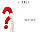 6.1.1尝试对生物进行分类 第2课时课件 2024年初中秋季人教版生物八年级上册
