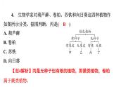 6.1.1尝试对生物进行分类课件2024年初中秋季人教版生物八年级上册