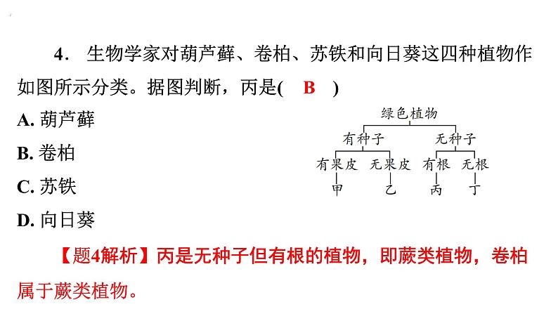 6.1.1尝试对生物进行分类课件2024年初中秋季人教版生物八年级上册05