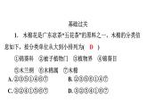 6.1.2 从种到界课件---2024年初中秋季人教版生物八年级上册