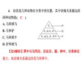 6.1.2 从种到界课件---2024年初中秋季人教版生物八年级上册