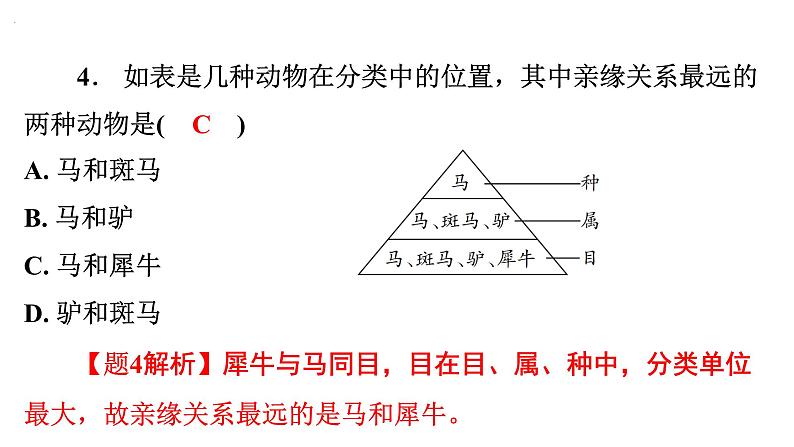 6.1.2 从种到界课件---2024年初中秋季人教版生物八年级上册05