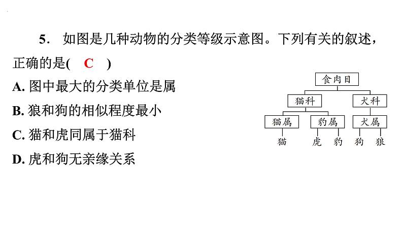 6.1.2 从种到界课件---2024年初中秋季人教版生物八年级上册06