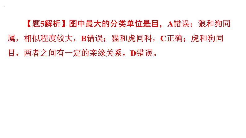 6.1.2 从种到界课件---2024年初中秋季人教版生物八年级上册07