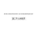 6.1.2 从种到界课件2024年初中秋季人教版生物八年级上册