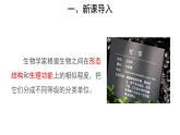 6.1.2 从种到界课件2024年初中秋季人教版生物八年级上册