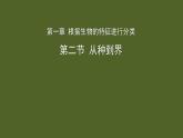 6.1.2从种到界 课件2024年初中秋季人教版生物八年级上册
