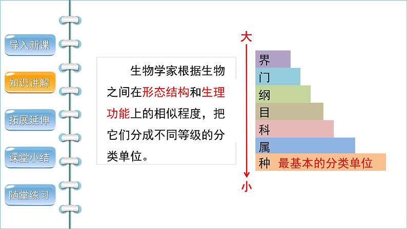 6.1.2从种到界 课件2024年初中秋季人教版生物八年级上册第5页
