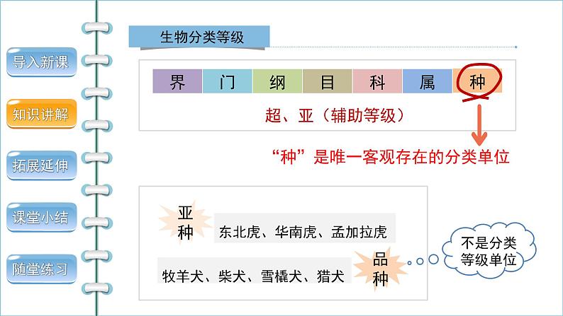 6.1.2从种到界 课件2024年初中秋季人教版生物八年级上册第6页