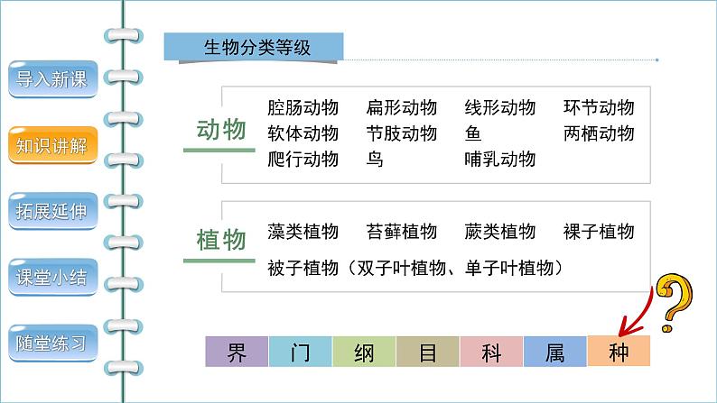 6.1.2从种到界 课件2024年初中秋季人教版生物八年级上册第7页