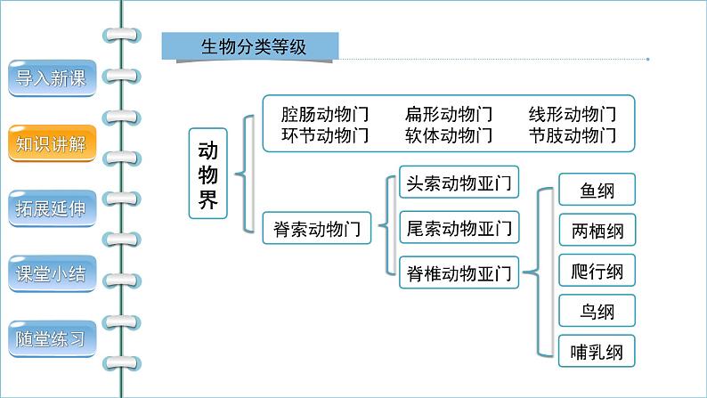 6.1.2从种到界 课件2024年初中秋季人教版生物八年级上册第8页