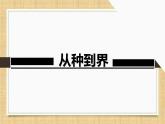 6.1.2从种到界课件 2024年初中秋季人教版生物八年级上册