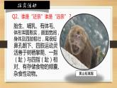 6.1.2从种到界课件 2024年初中秋季人教版生物八年级上册