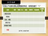 6.1.2从种到界课件 2024年初中秋季人教版生物八年级上册