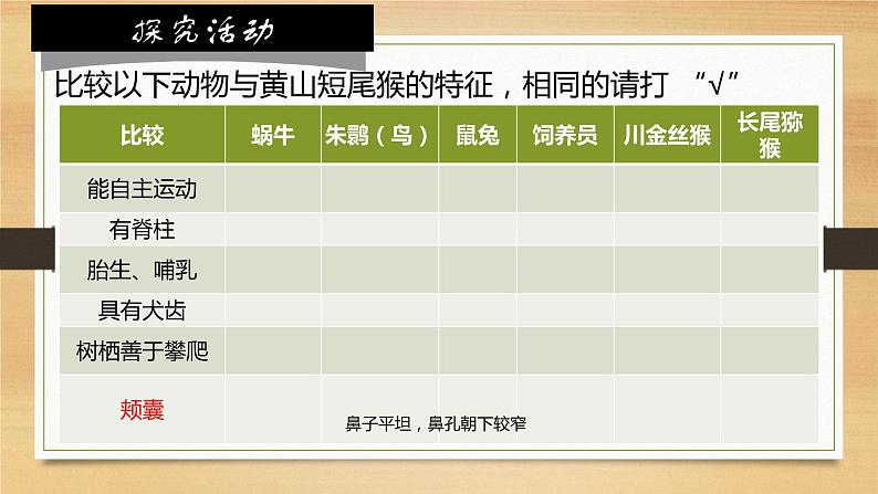 6.1.2从种到界课件 2024年初中秋季人教版生物八年级上册第5页