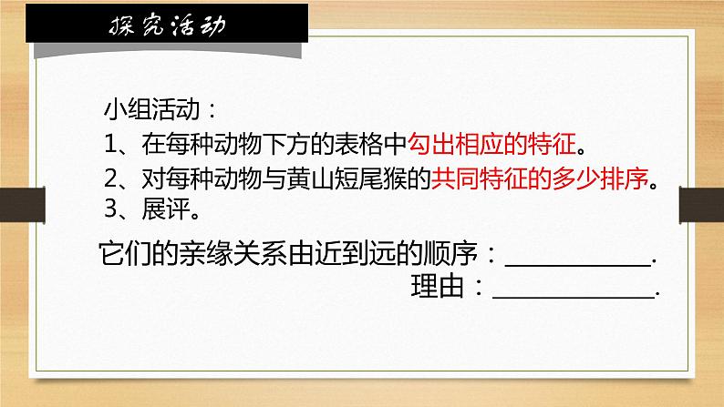 6.1.2从种到界课件 2024年初中秋季人教版生物八年级上册第6页