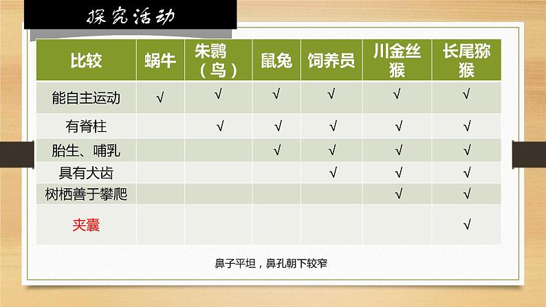 6.1.2从种到界课件 2024年初中秋季人教版生物八年级上册第7页