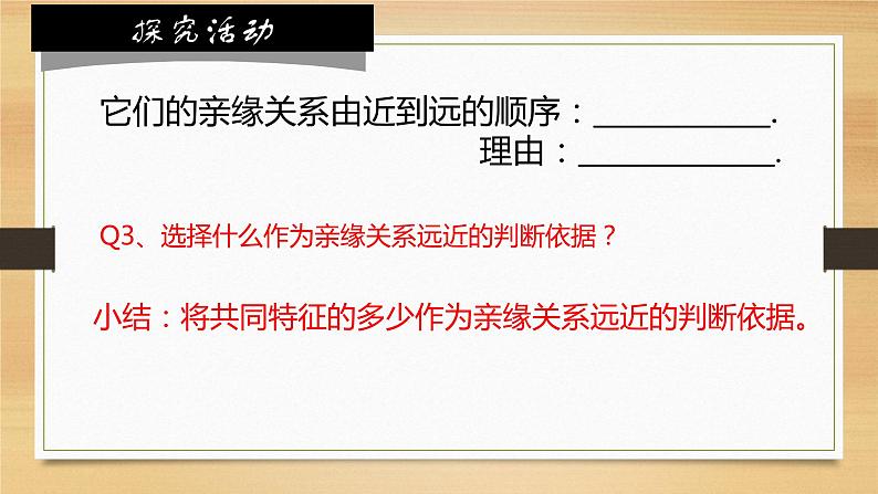 6.1.2从种到界课件 2024年初中秋季人教版生物八年级上册第8页