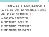 6.2 认识生物的多样性习题课件2024年初中秋季人教版生物八年级上册