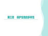 6.3 保护生物的多样性习题课件2024年初中秋季人教版生物八年级上册